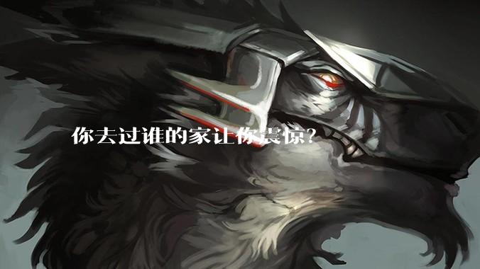 你去过谁的家让你震惊？