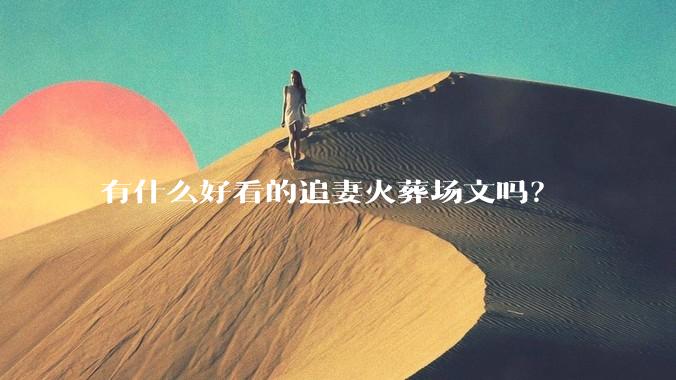 有什么好看的追妻火葬场文吗？